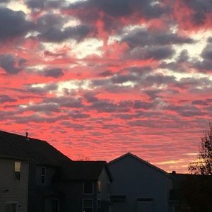 Meet your Posher, Nellie